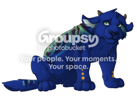 User Image